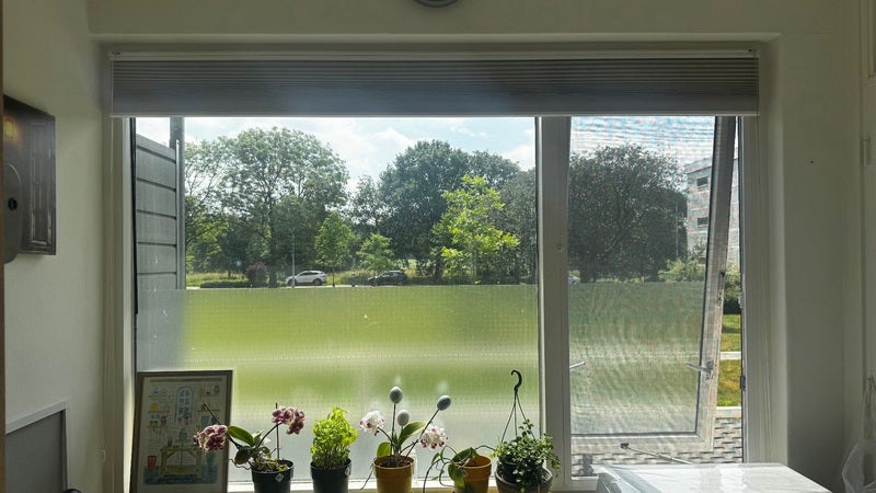 Appartement Goeman Borgesiusstraat 6