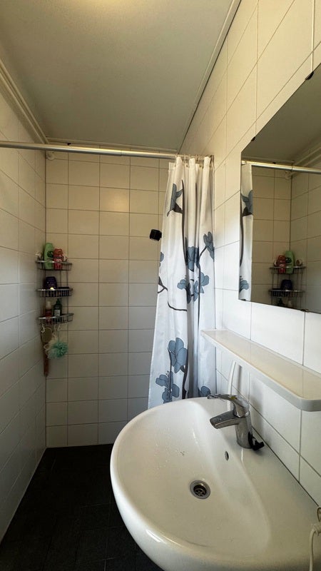 Appartement Goeman Borgesiusstraat 9