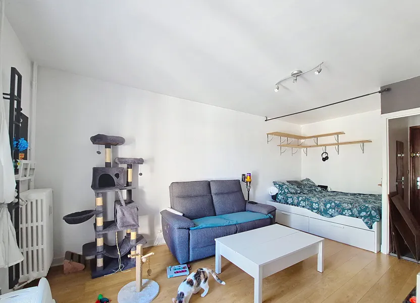 Flat Rue Ledru Rollin in Tours