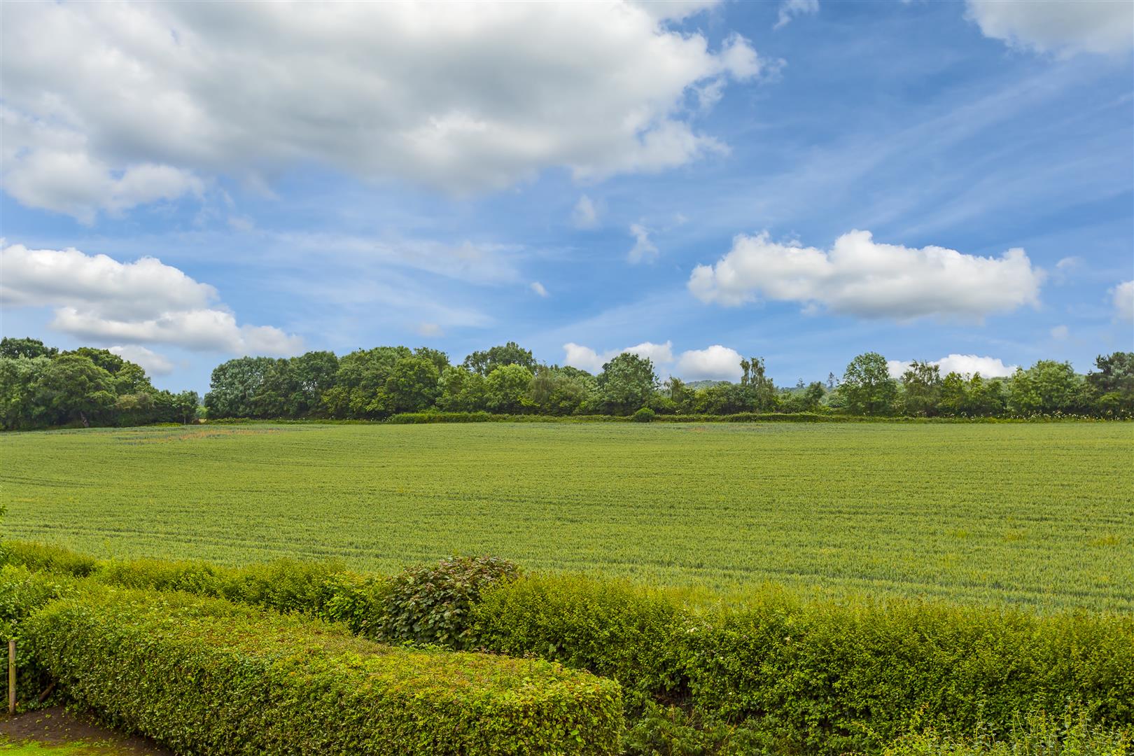 House Copts Hill Lane in Reigate and Banstead
