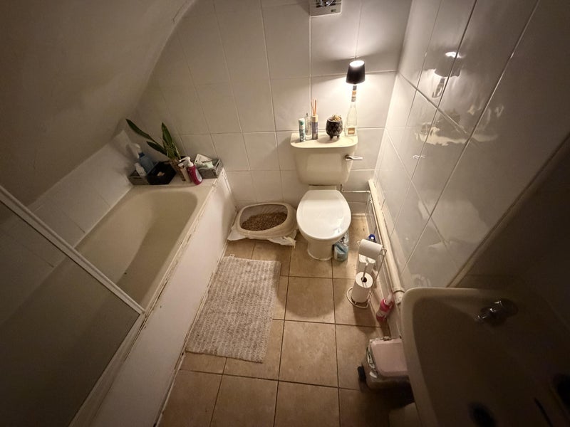 Room Mount Pleasant Road in Greater London