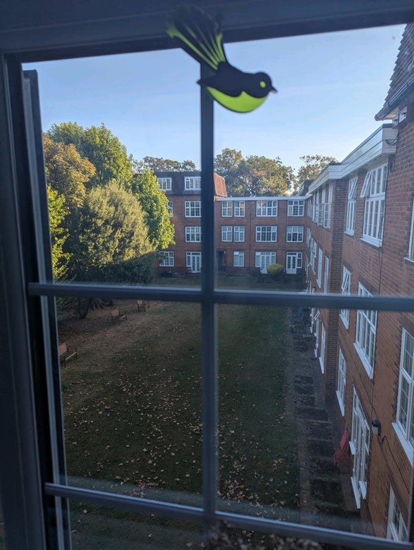 Room Adare Walk in Greater London