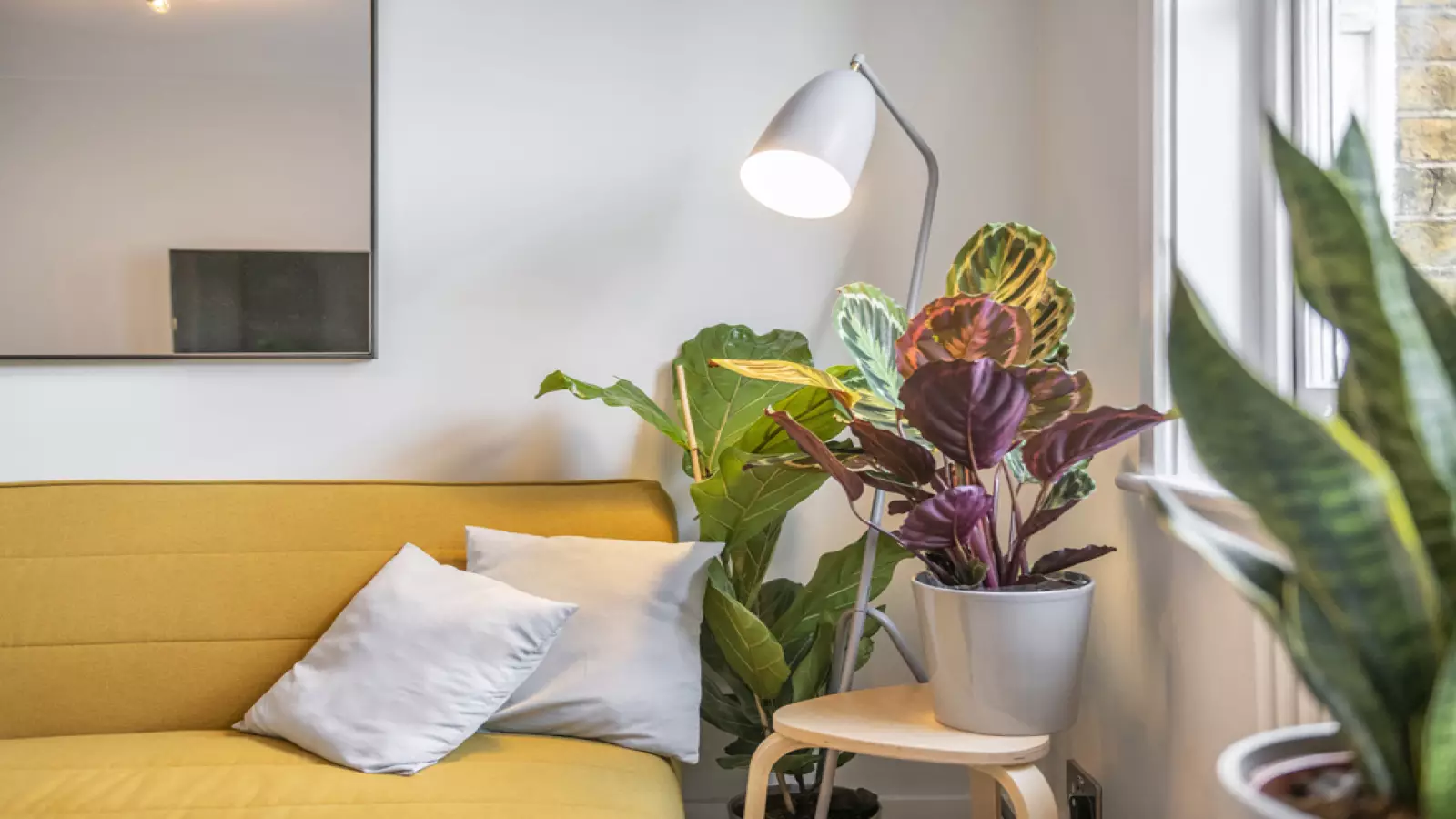 Flat Ogle Street in City of Westminster