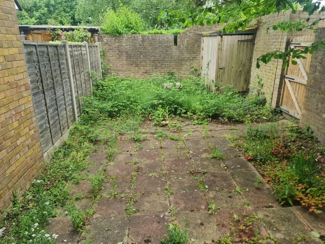 Flat Hillberry in Bracknell