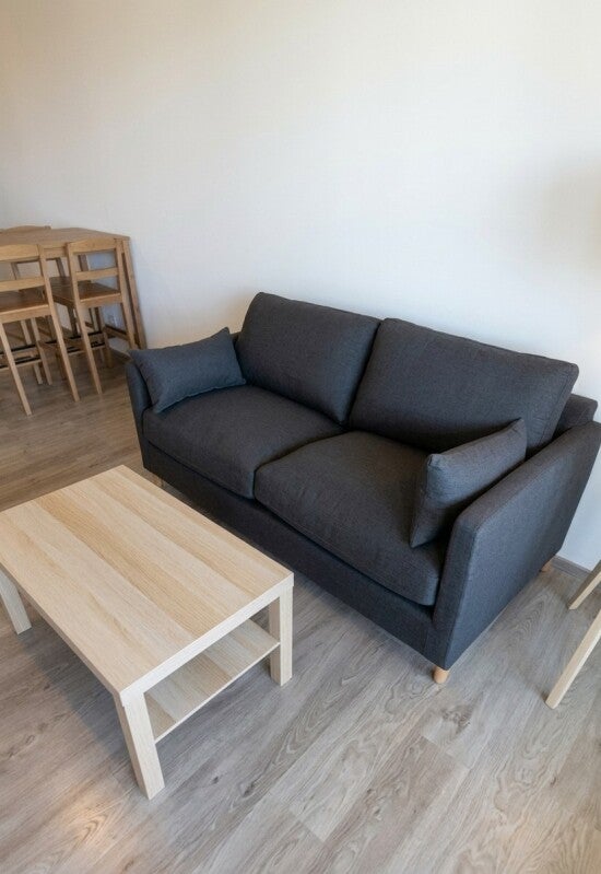Appartement Rue Jacques Guignard à Pibrac