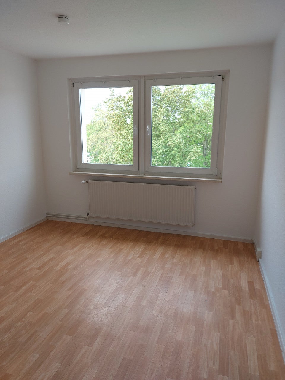 Wohnung Goethestraße in Braunsbedra