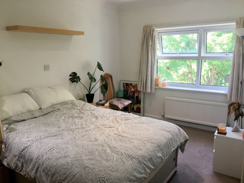 Room Parklands Drive in Chelmsford