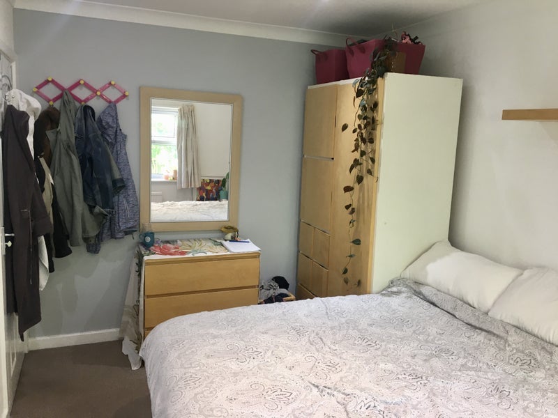 Room Parklands Drive in Chelmsford