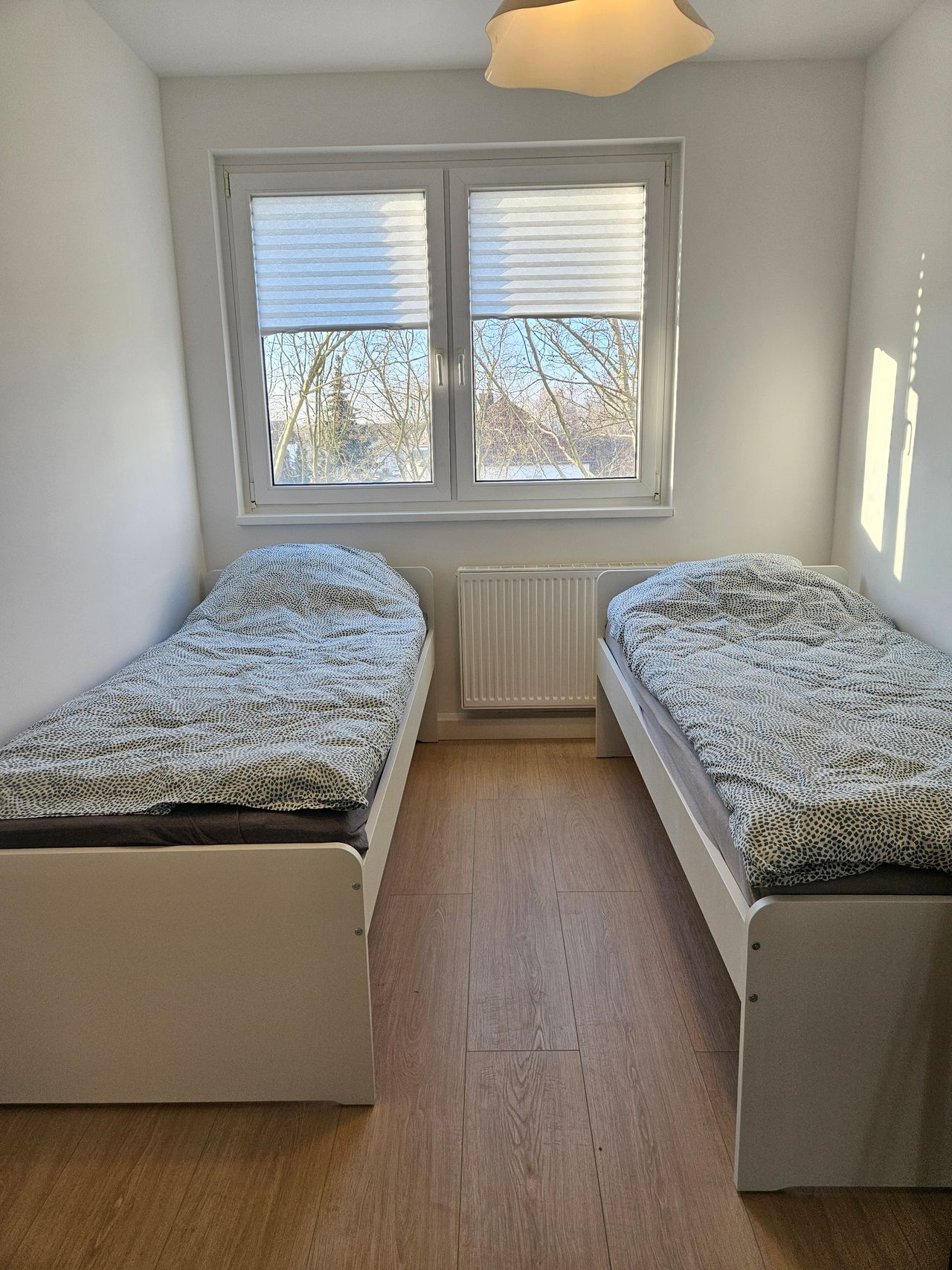 Wohnung Am Ring in Böhlen