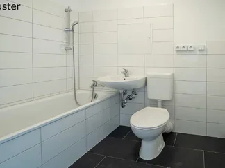Wohnung Ebereschenstraße in Dresden