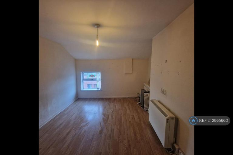 Flat Picton Crescent in Liverpool