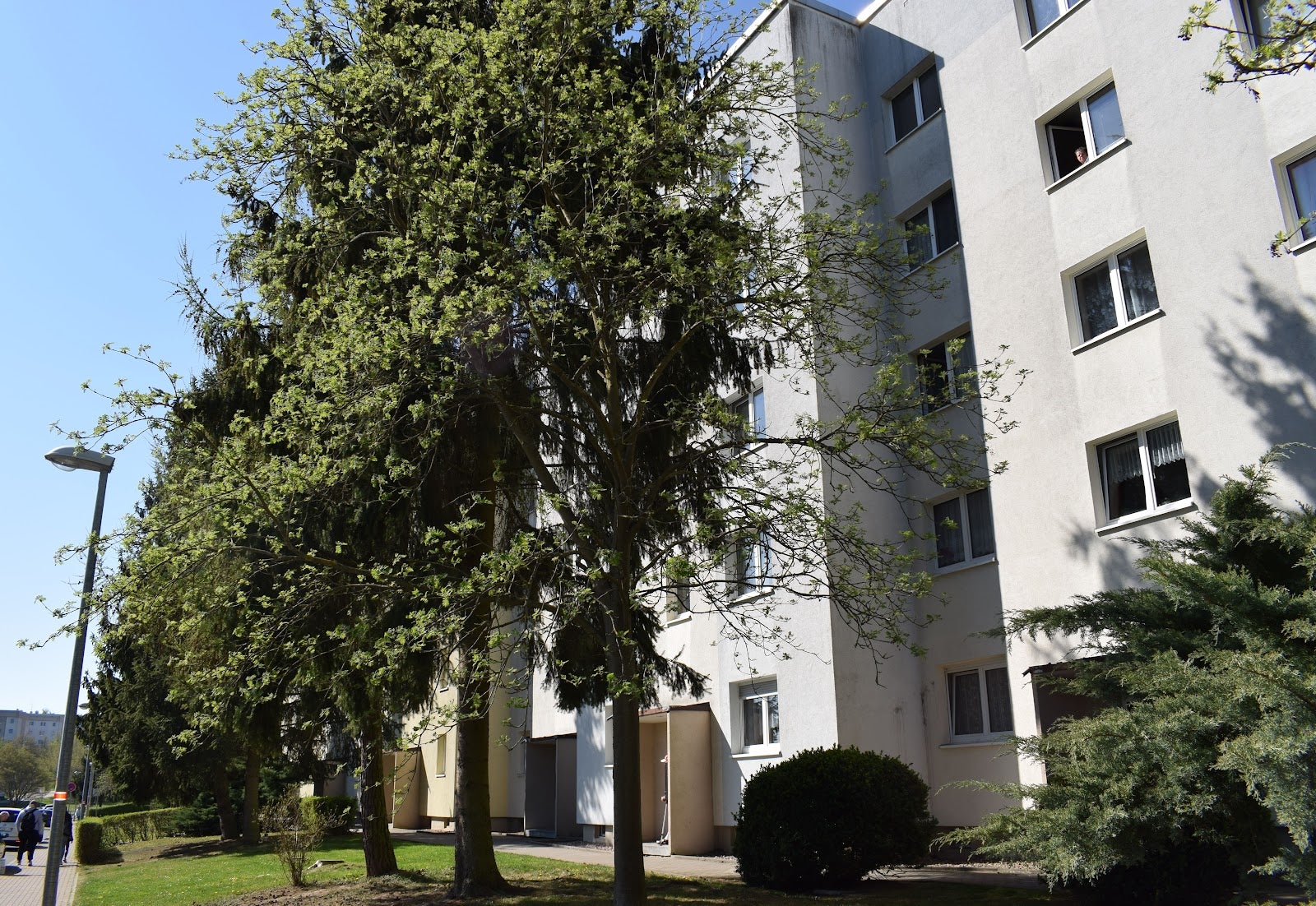 Wohnung Am Wiegwasser in Gotha
