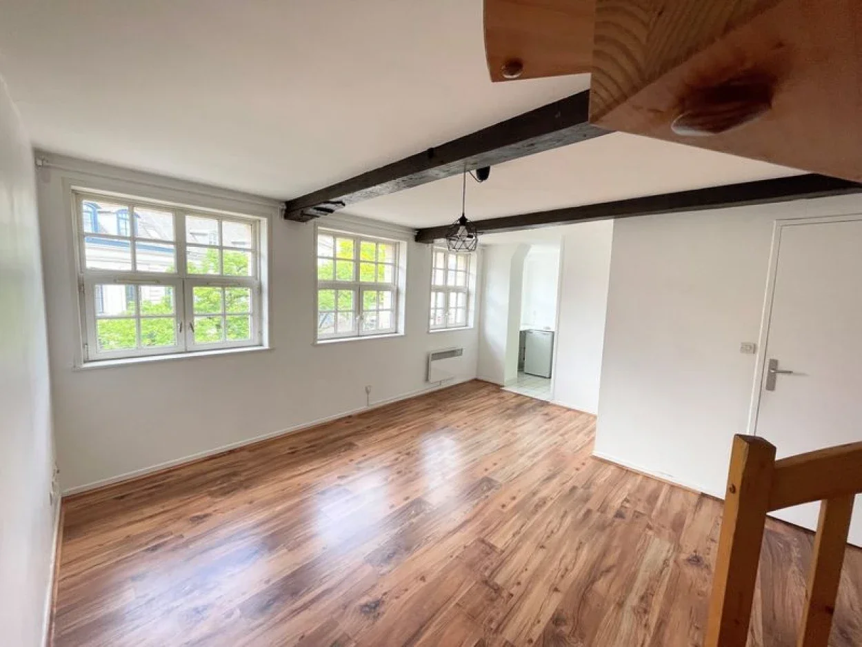 Appartement Place aux Bleuets à Lille