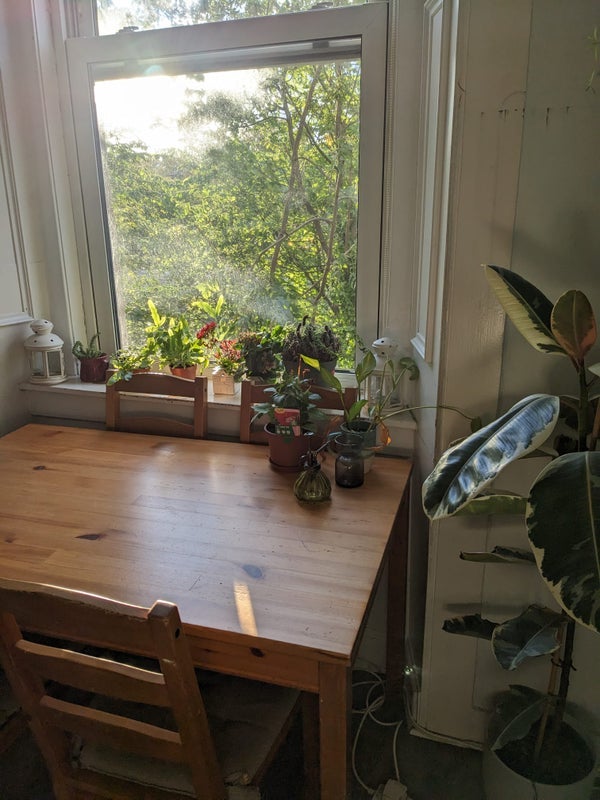 Room Bruntsfield Place in City of Edinburgh