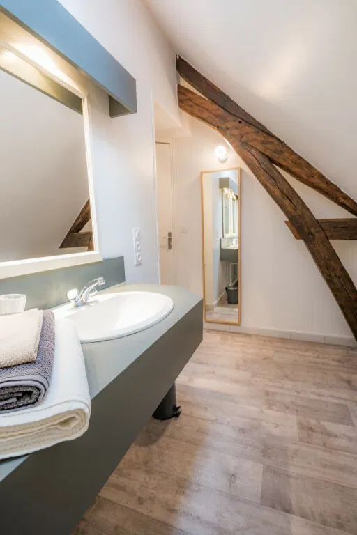 Flat Rue Émile Zola in Troyes