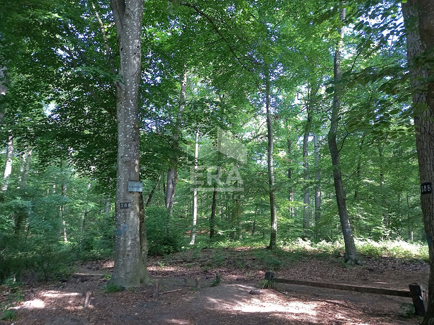 Flat Route d'Achères in Fontainebleau