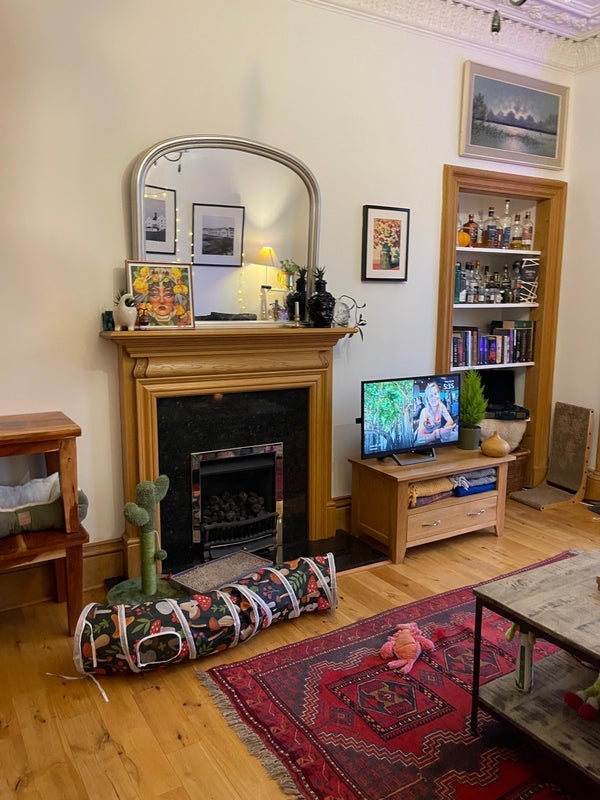 Room Marchmont Crescent in City of Edinburgh