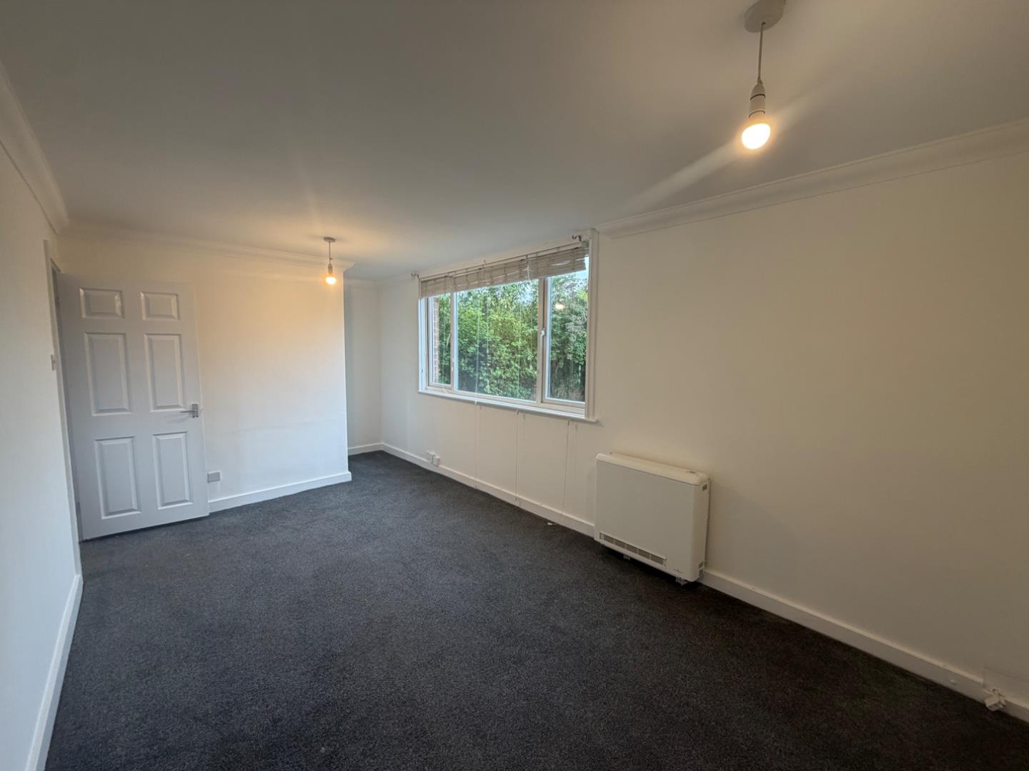 Flat Conifer Close in Redcar