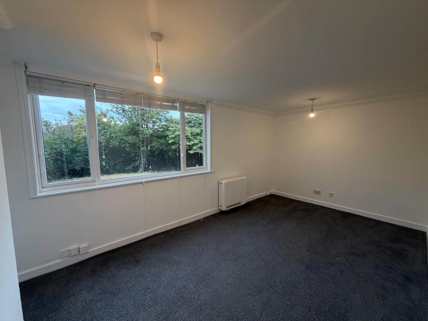 Flat Conifer Close in Redcar
