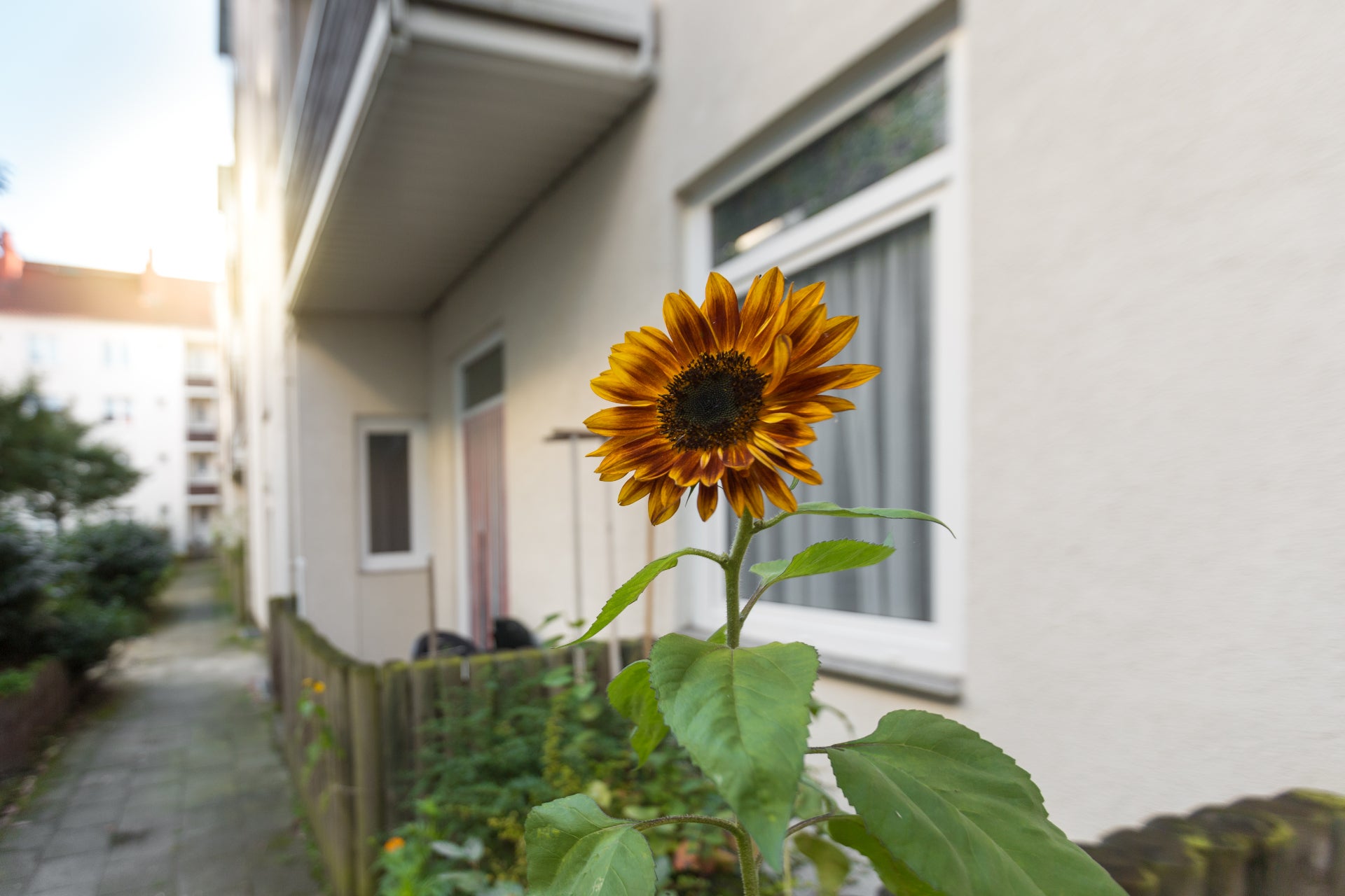 Wohnung Friedrich-Ebert-Straße in Bremerhaven