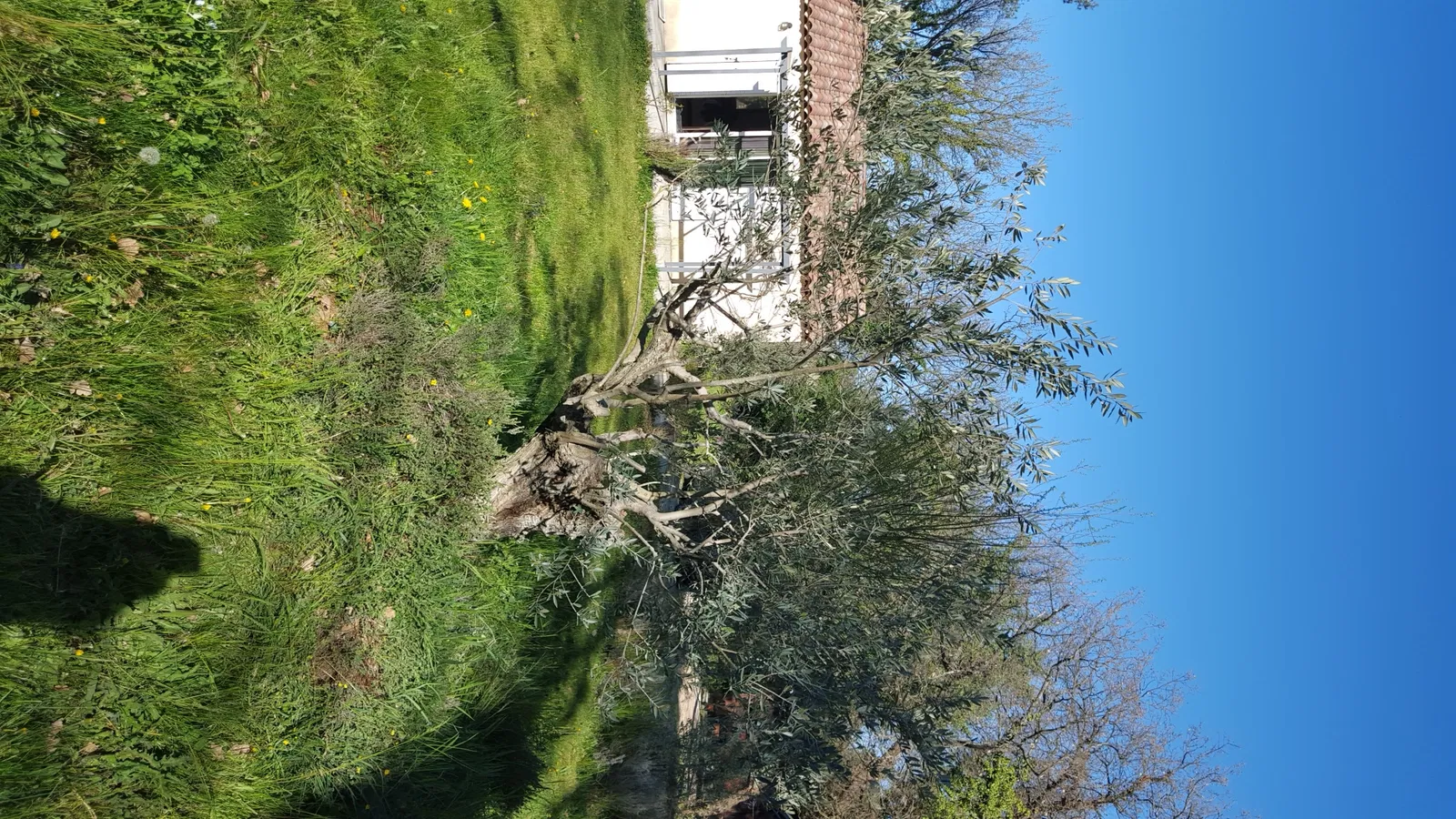 Maison Route de Marseille à Nans-les-Pins