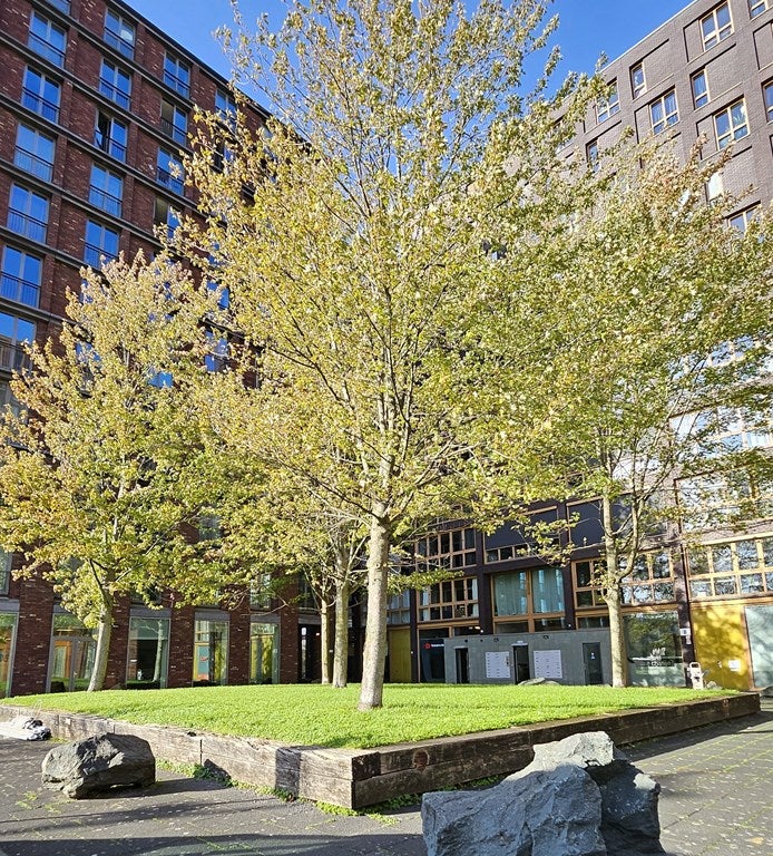 Appartement te huur: Veembroederhof 146, Amsterdam