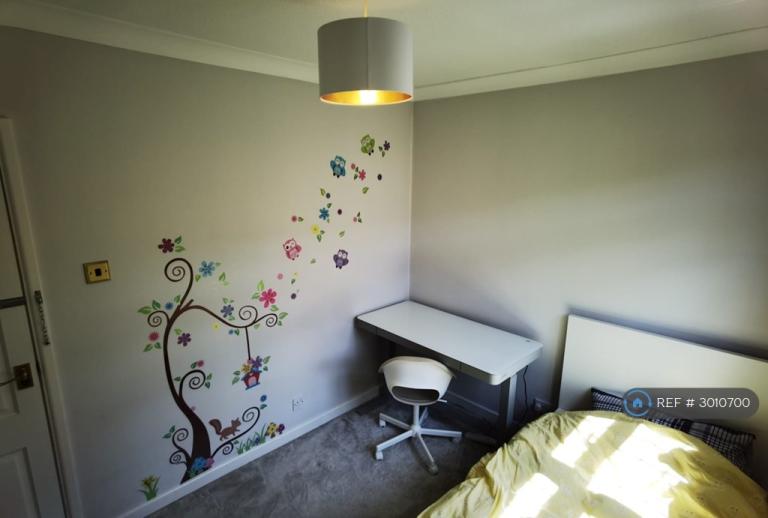 Room Bransford Avenue in Coventry