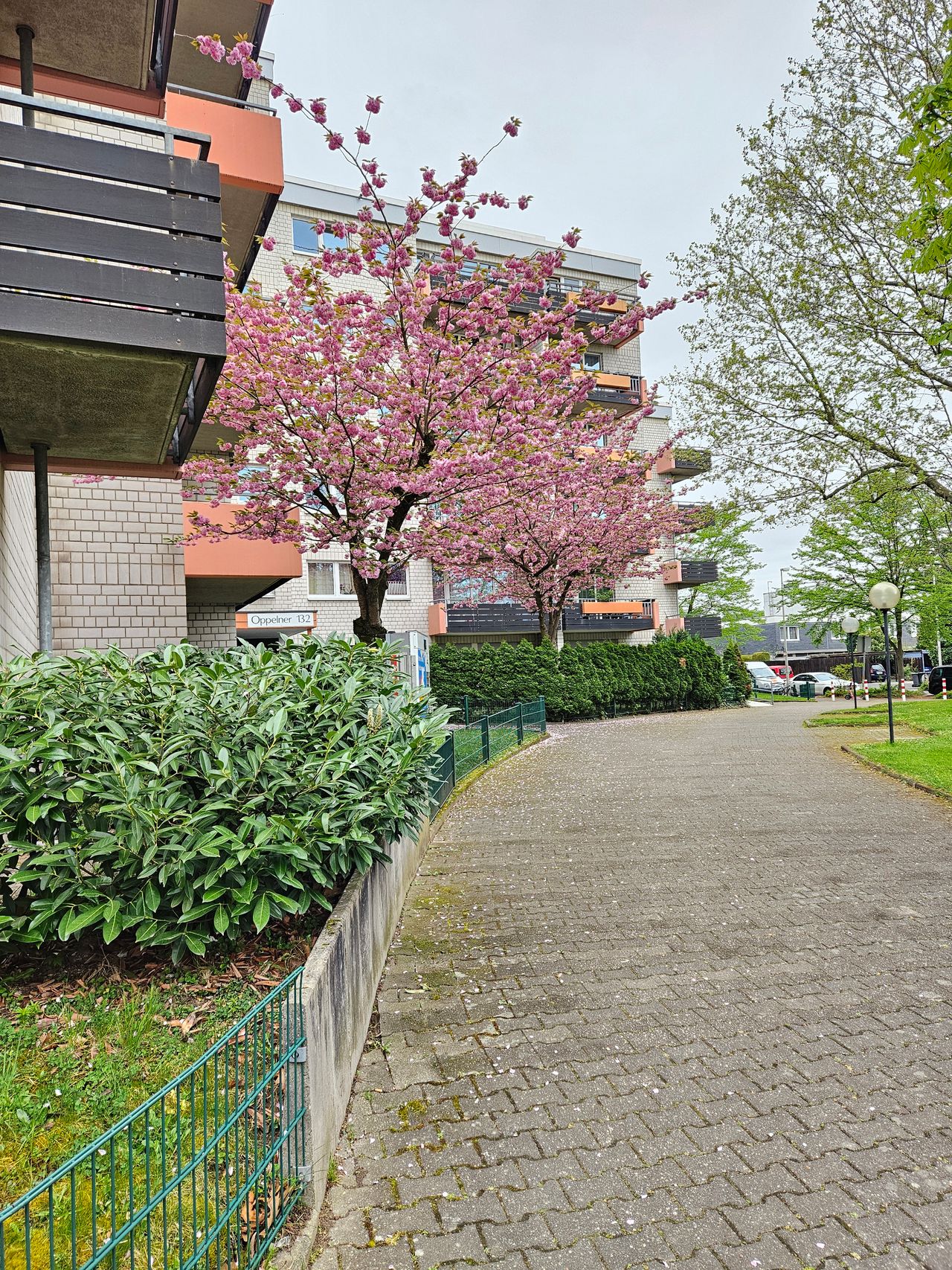 Wohnung Oppelner Straße in Bonn