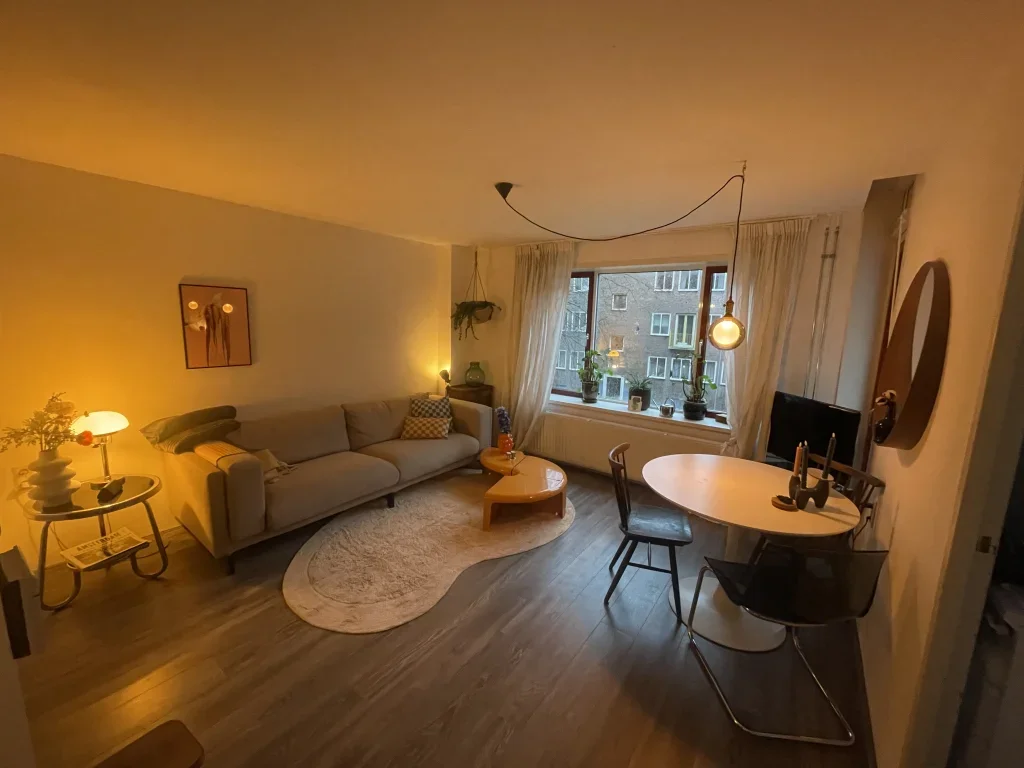 Flat Olmenweg in Amsterdam