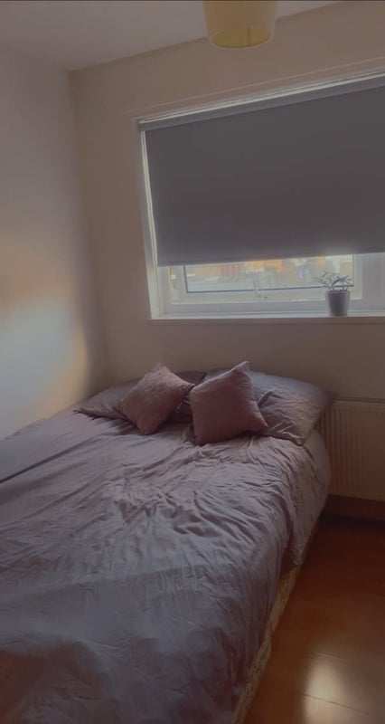 Room Alderney Street in City of Westminster