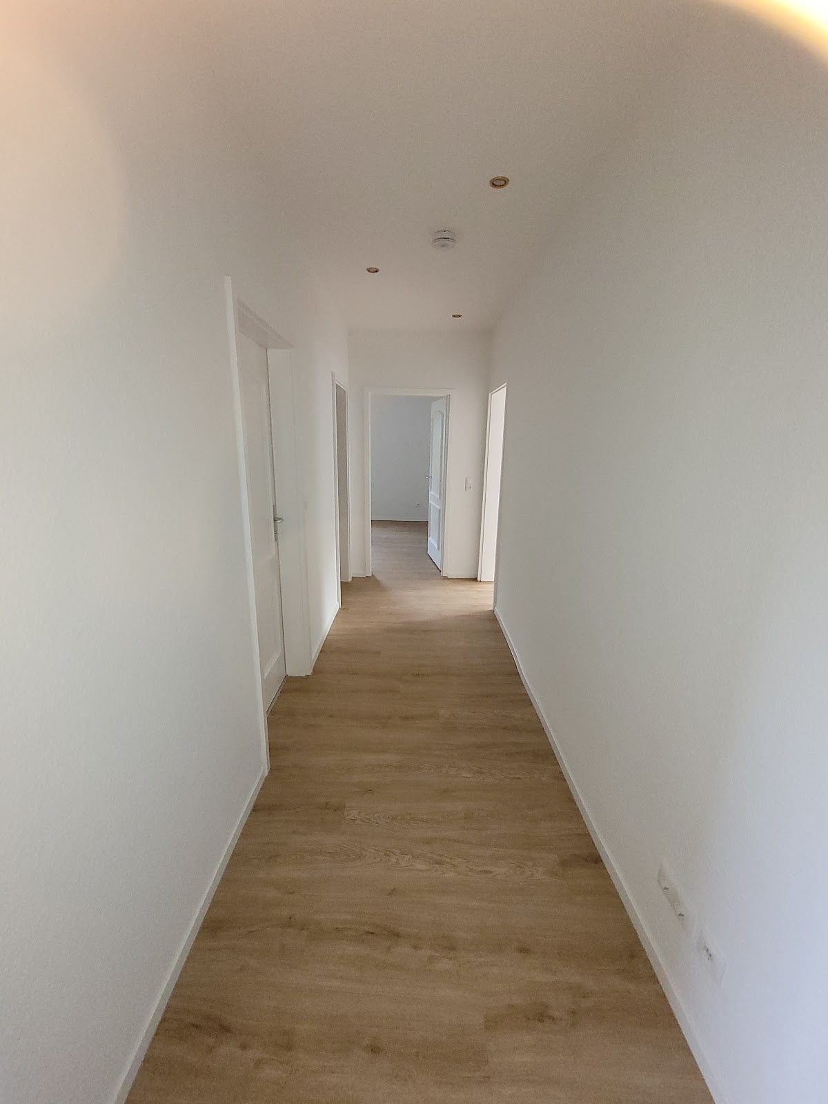 Wohnung Kastanienstraße in Bad Doberan