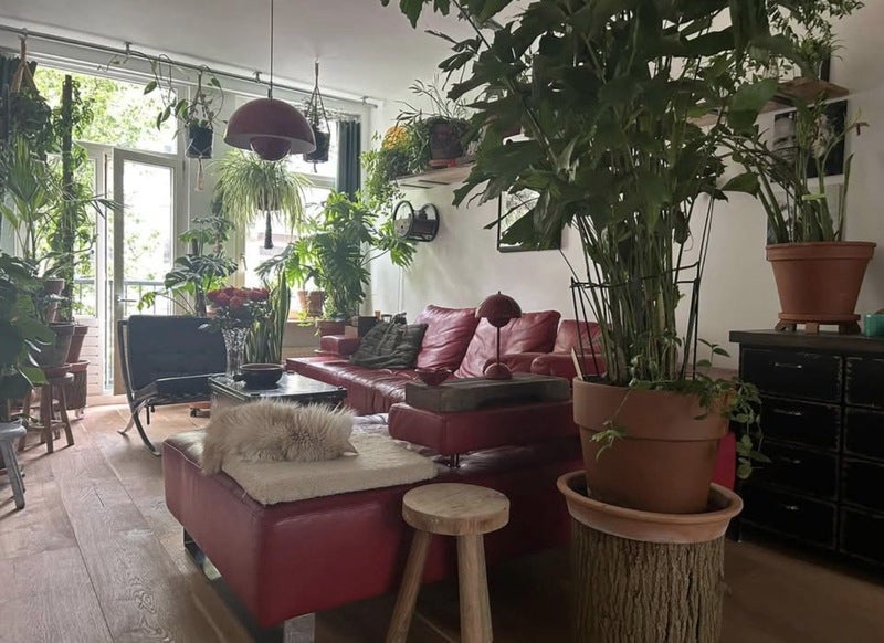 Appartement Sluisstraat 2