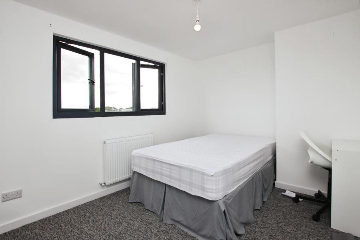 Room Filton Avenue in Bristol
