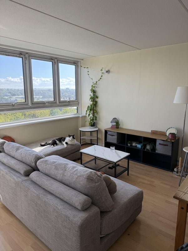 Room Charlotte Despard Avenue in Greater London