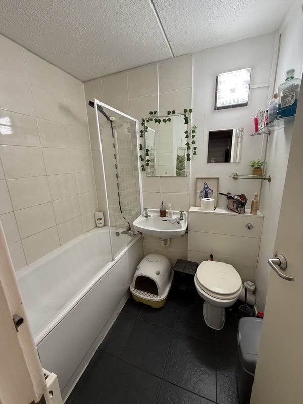 Room Charlotte Despard Avenue in Greater London