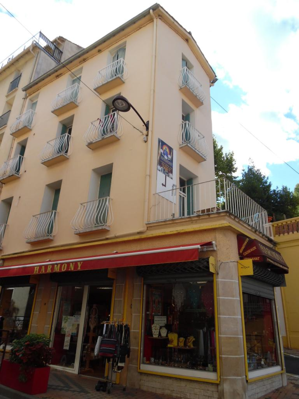Flat Avenue du Vallespir in Palalda