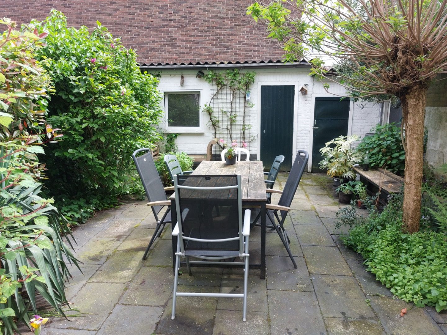 Appartement Biezendwarsstraat 9