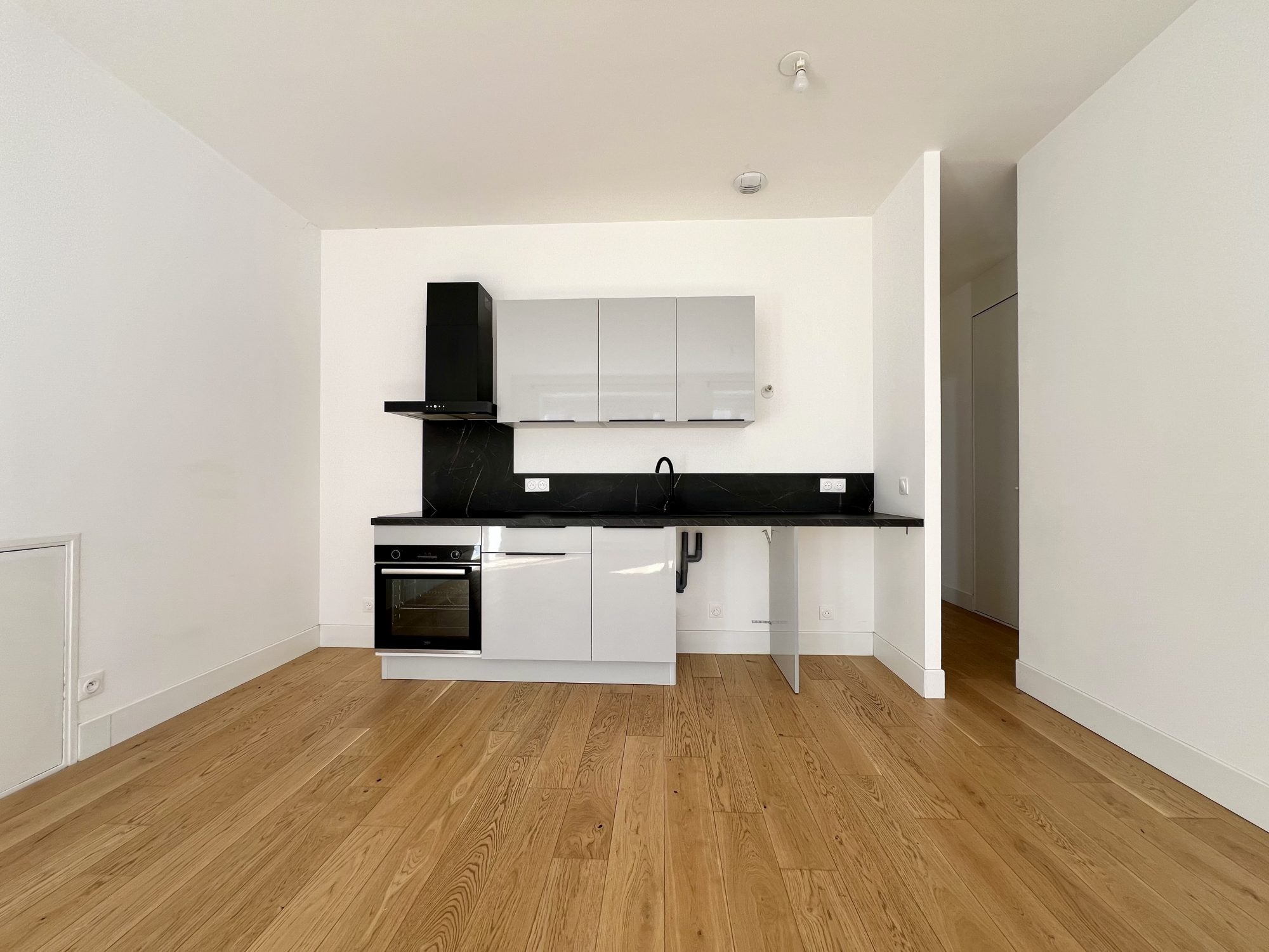 Flat Rue Aristide Bergès in Grenoble