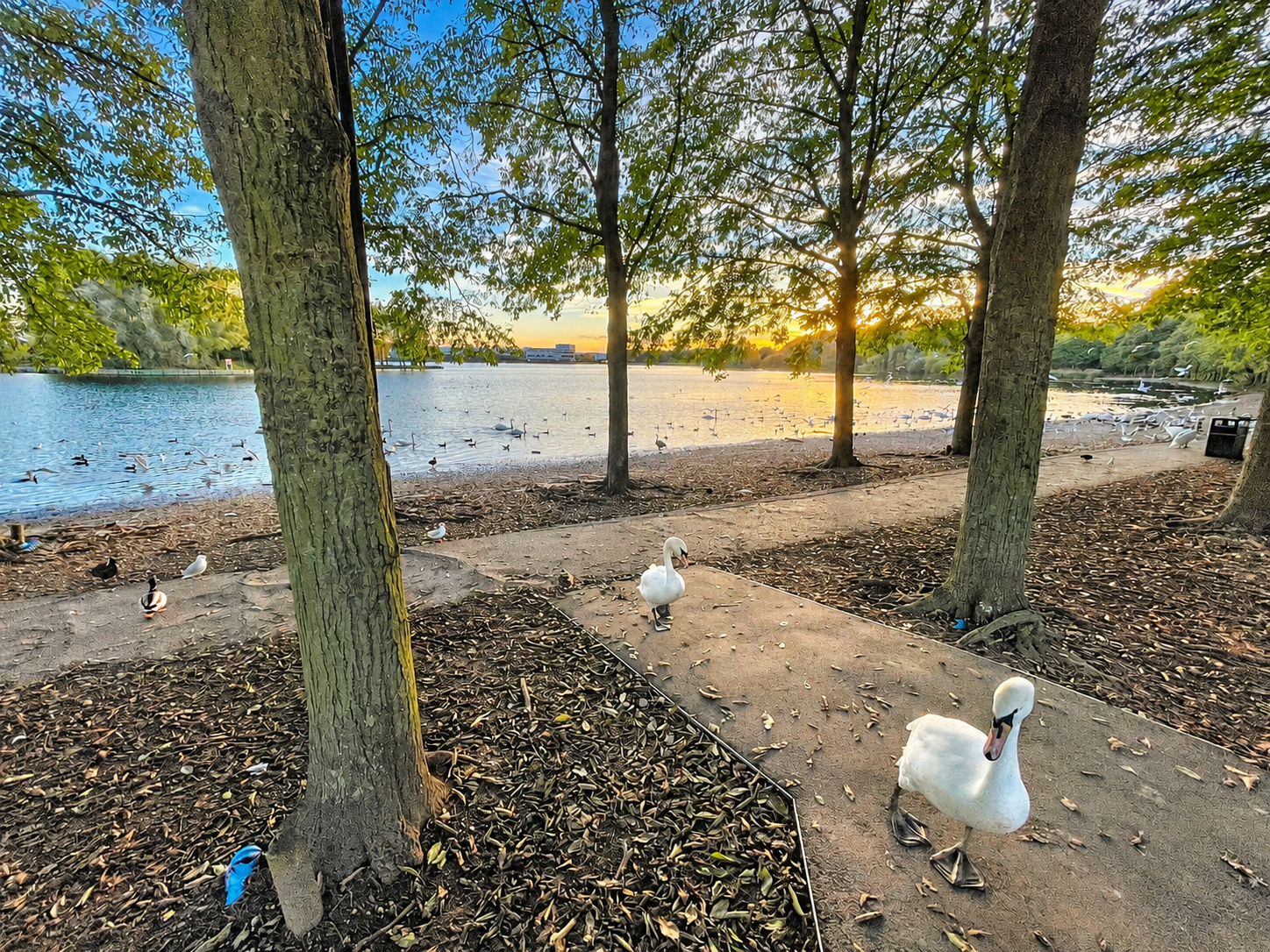House Lake View in Doncaster
