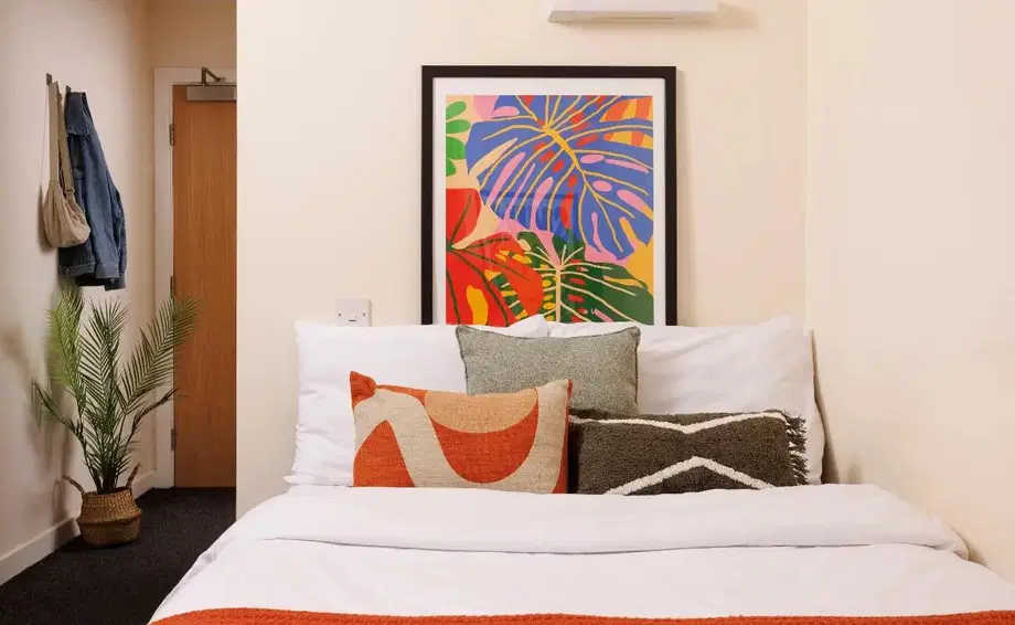 Room Falconar Street in Newcastle upon Tyne
