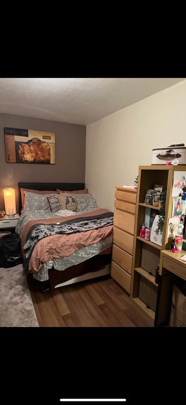 Room South Lambeth Road in Greater London