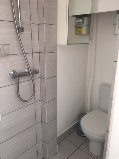 Room Rowditch Lane in Greater London