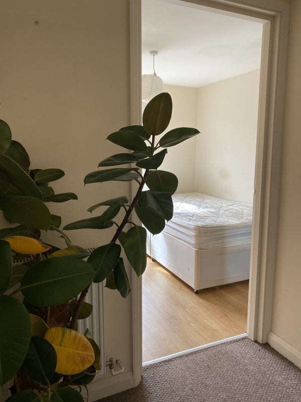 Room Messina Avenue in Greater London
