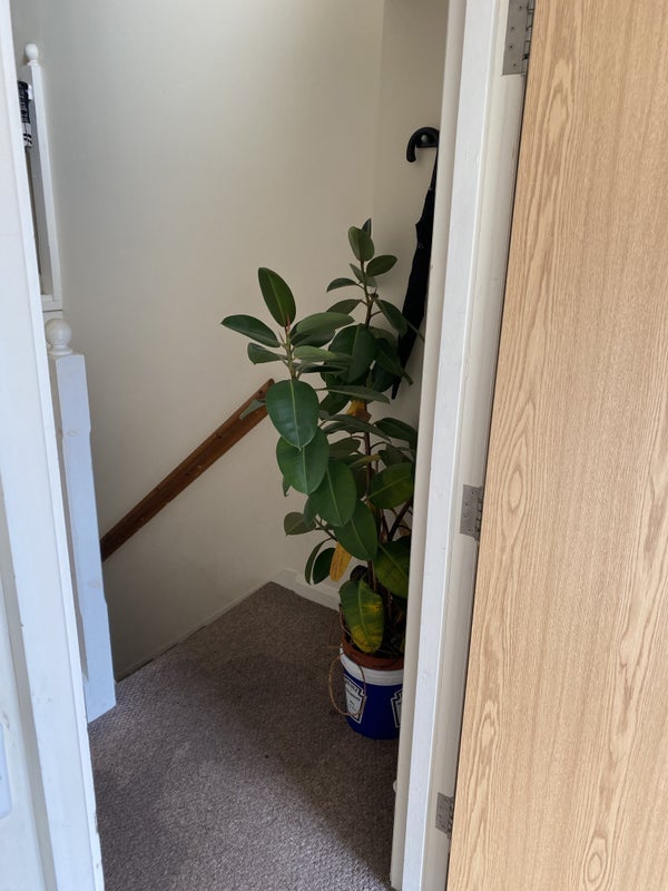 Room Messina Avenue in Greater London