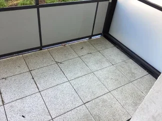 Wohnung Laerer Landweg in Münster