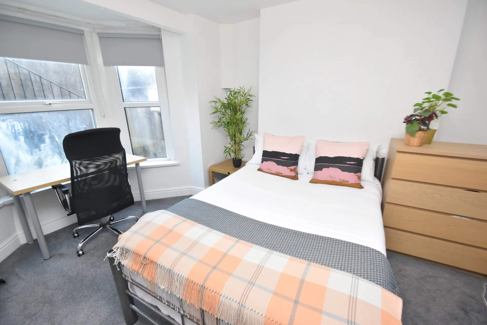 Flat Cathays Terrace in Cardiff