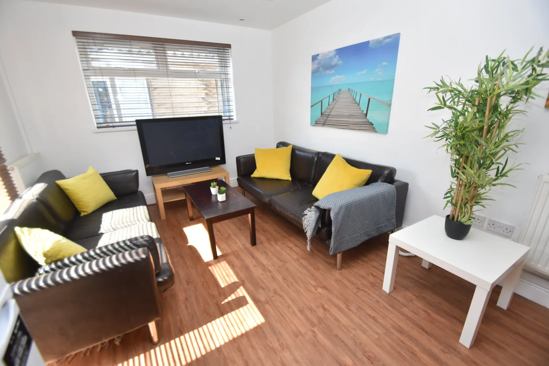 Flat Cathays Terrace in Cardiff