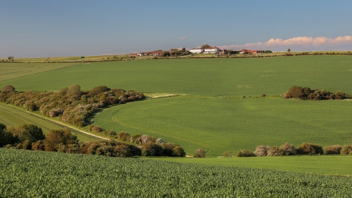 House Race Hill in Lewes