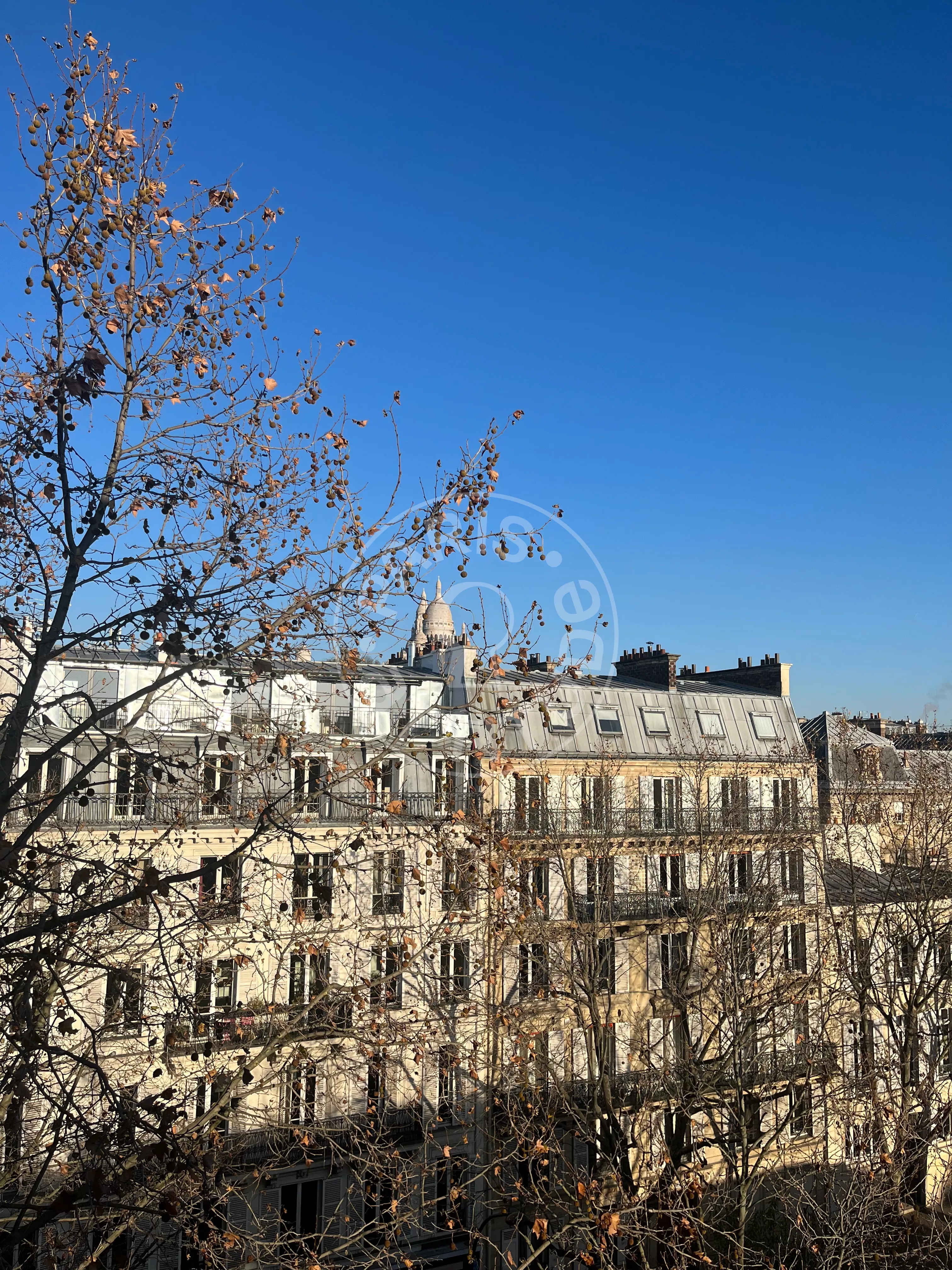 Flat Avenue Trudaine in Paris