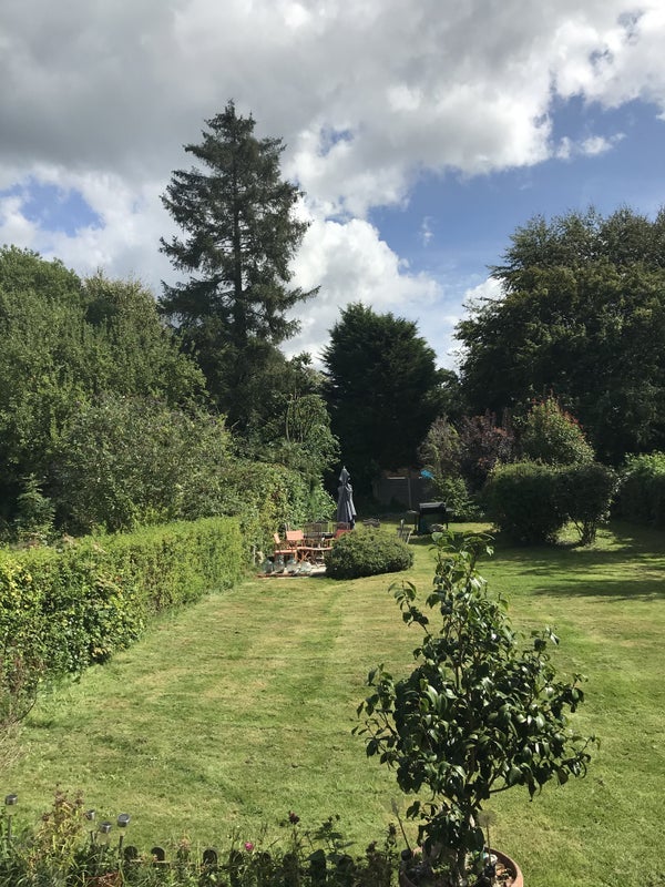 Room Essendene Road in Caterham on the Hill